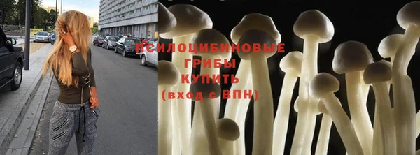 соль ск Балахна